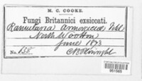 Image Associated With the Occurence